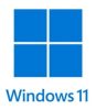 Windows 11 logoraw petit
